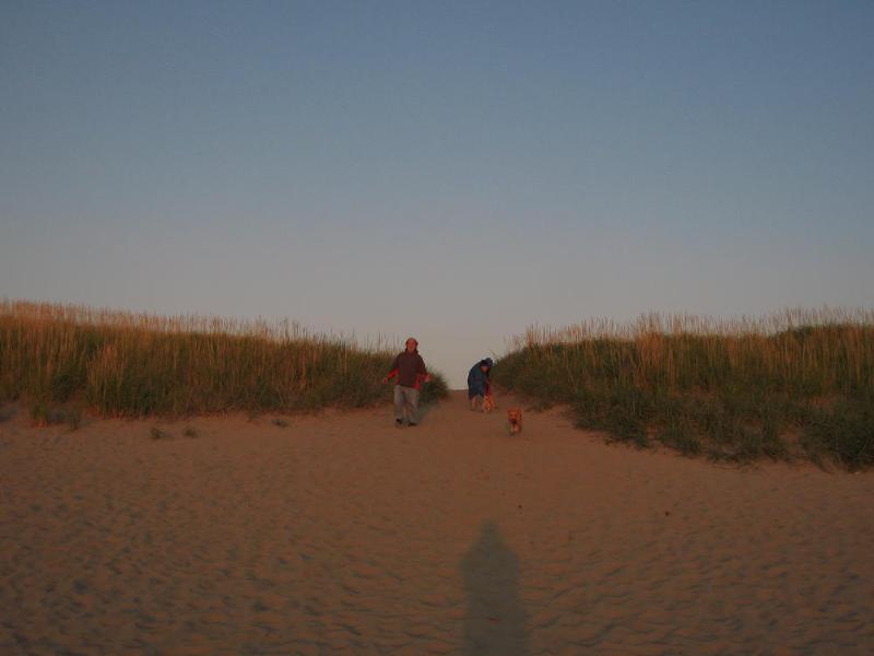 gallery/beachSept_035.jpg