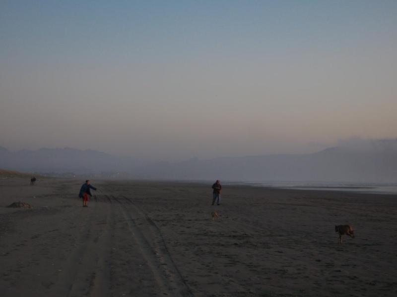 gallery/beachSept_041.jpg