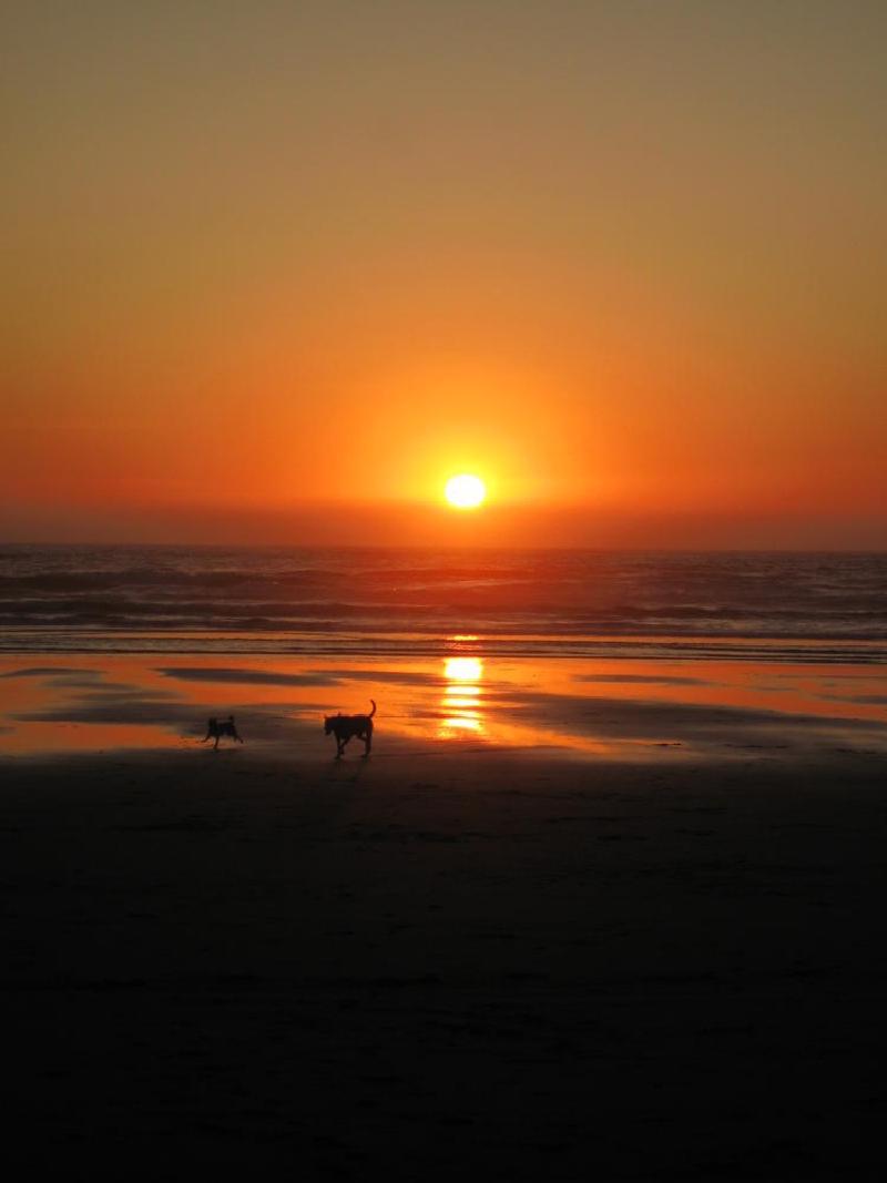 gallery/beachSept_045.jpg