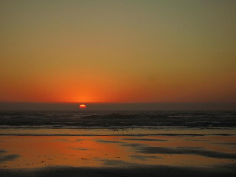 gallery/beachSept_060.jpg