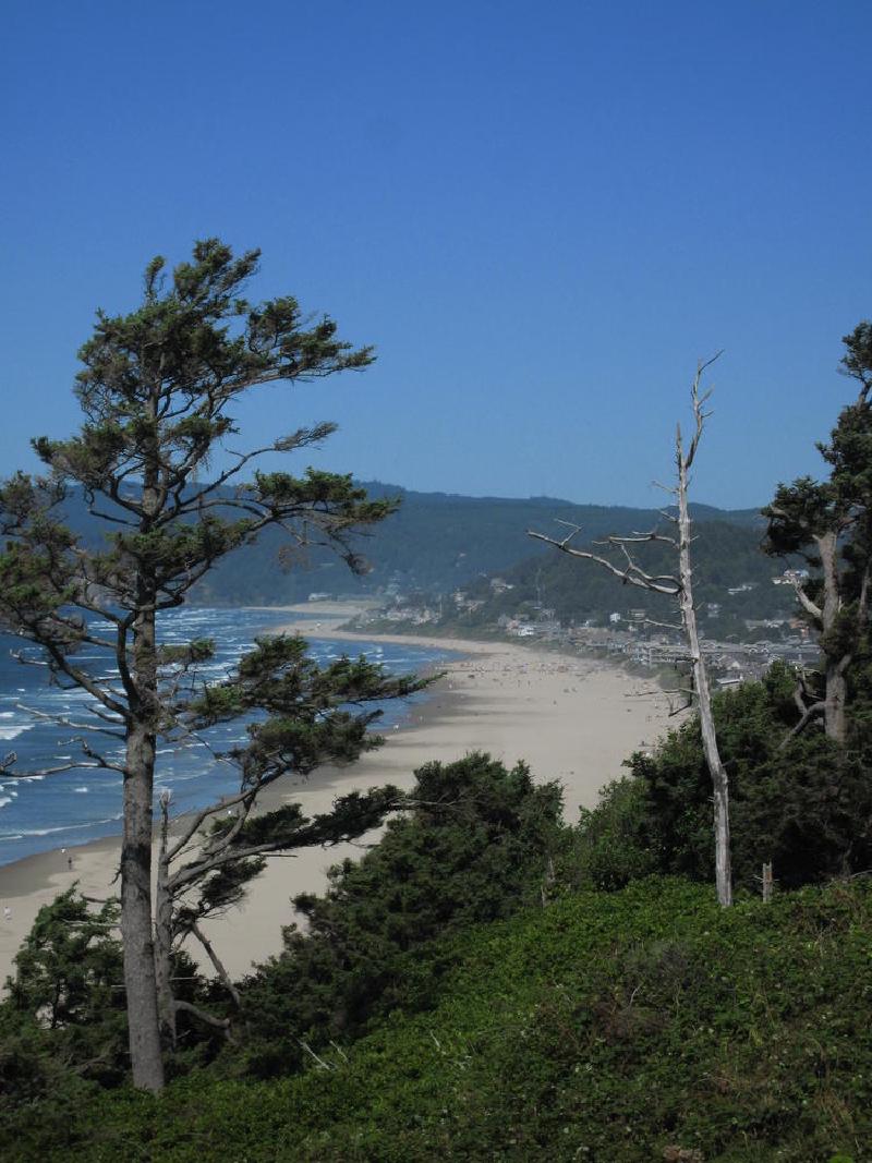 gallery/beachSept_081.jpg