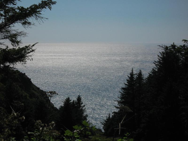 gallery/beachSept_086.jpg