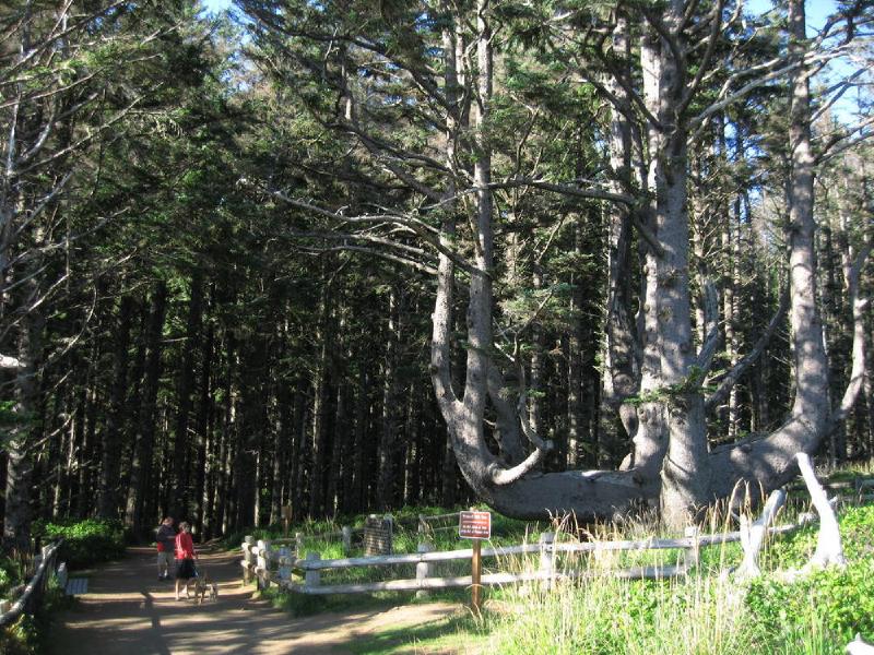 gallery/beachSept_096.jpg