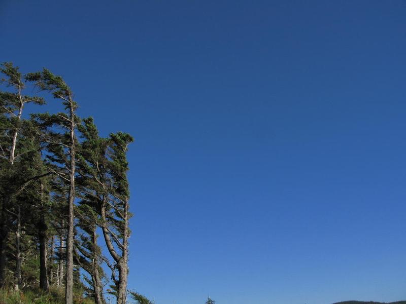 gallery/beachSept_098.jpg