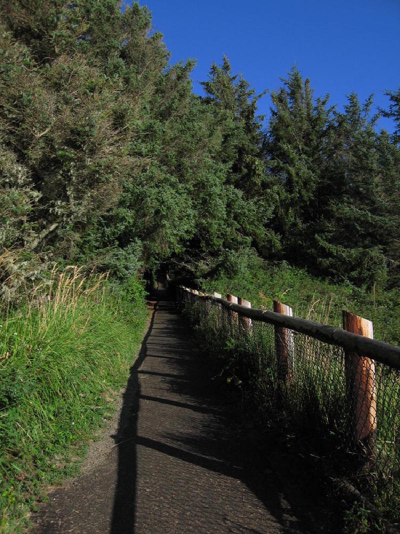 gallery/beachSept_122.jpg