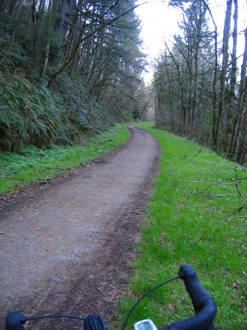 gallery/bike_4_6_08.jpg