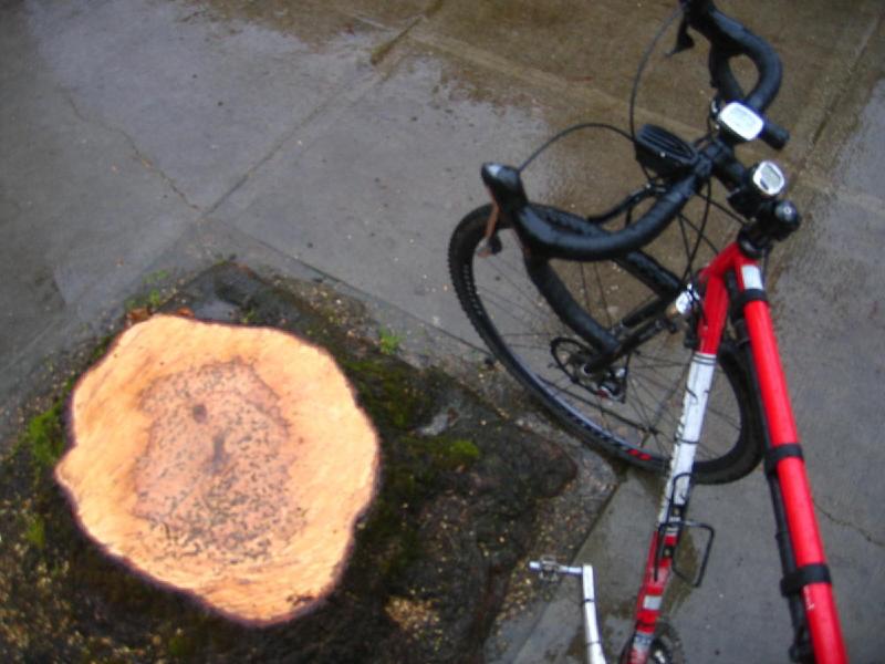 gallery/bike_tue_02.jpg
