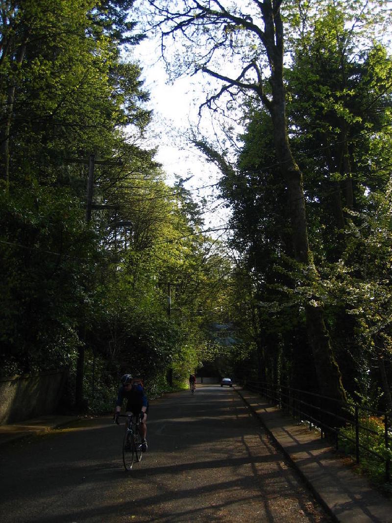 gallery/bike_thurs_02.jpg