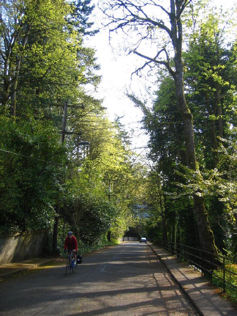 gallery/bike_thurs_04.jpg