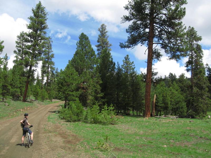 gallery/central_oregon_055.jpg