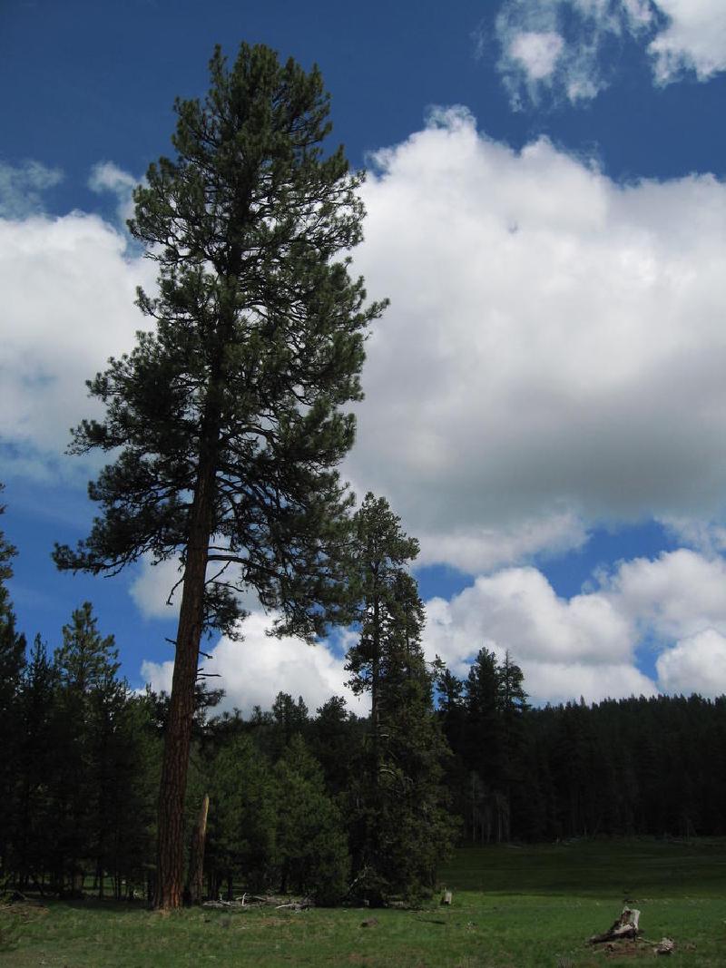 gallery/central_oregon_058.jpg