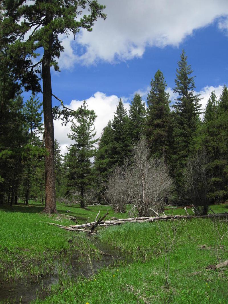 gallery/central_oregon_062.jpg
