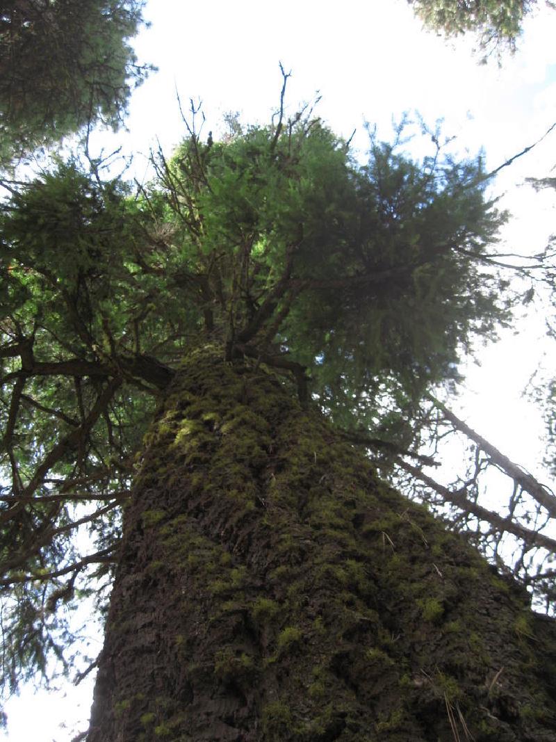 gallery/central_oregon_063.jpg