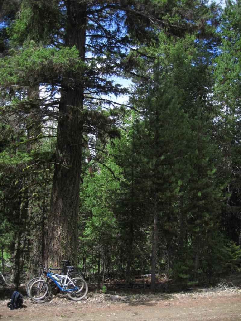 gallery/central_oregon_064.jpg
