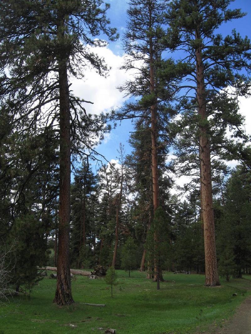 gallery/central_oregon_066.jpg