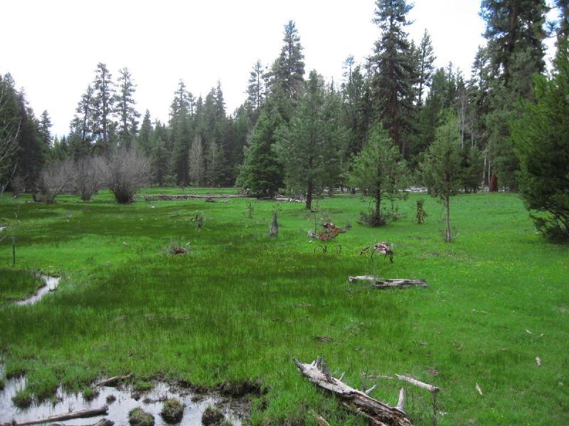 gallery/central_oregon_068.jpg