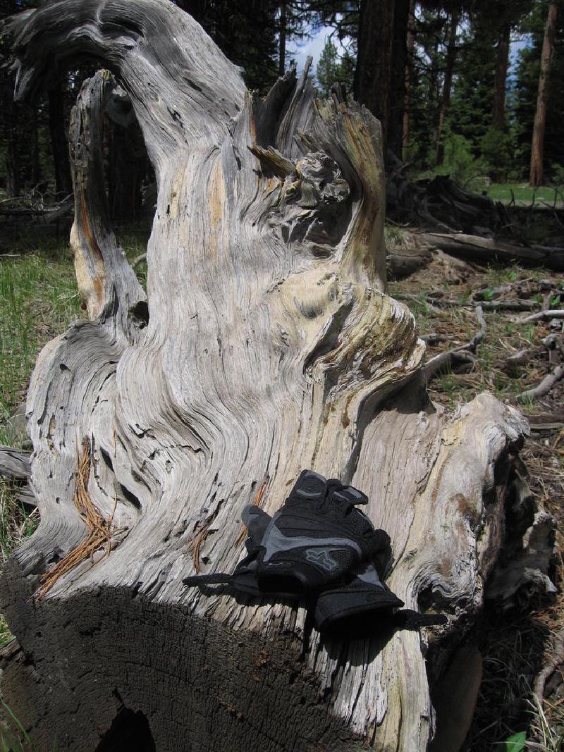 gallery/central_oregon_076.jpg