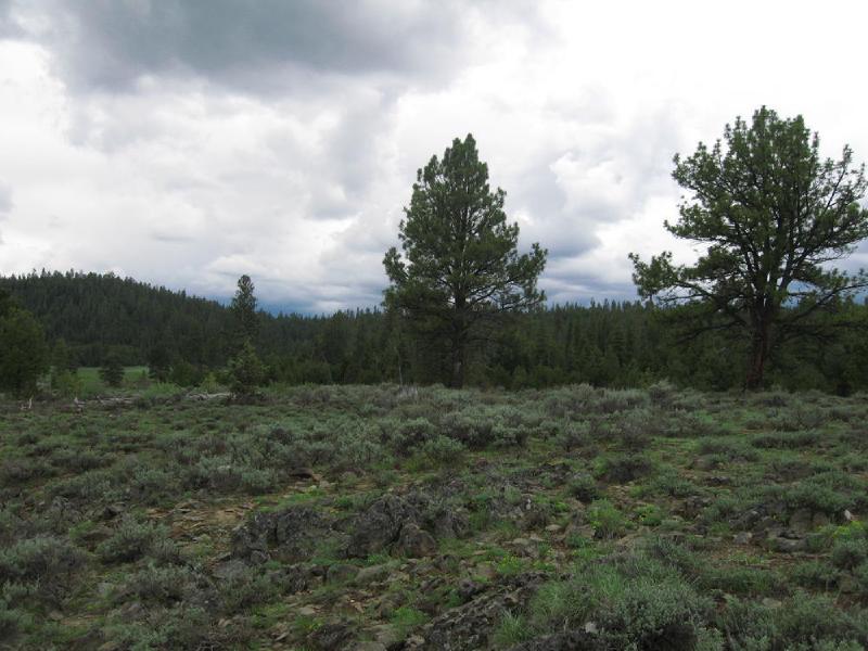 gallery/central_oregon_078.jpg