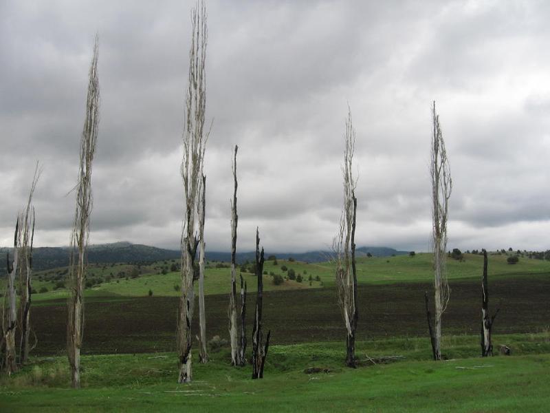 gallery/central_oregon_182.jpg