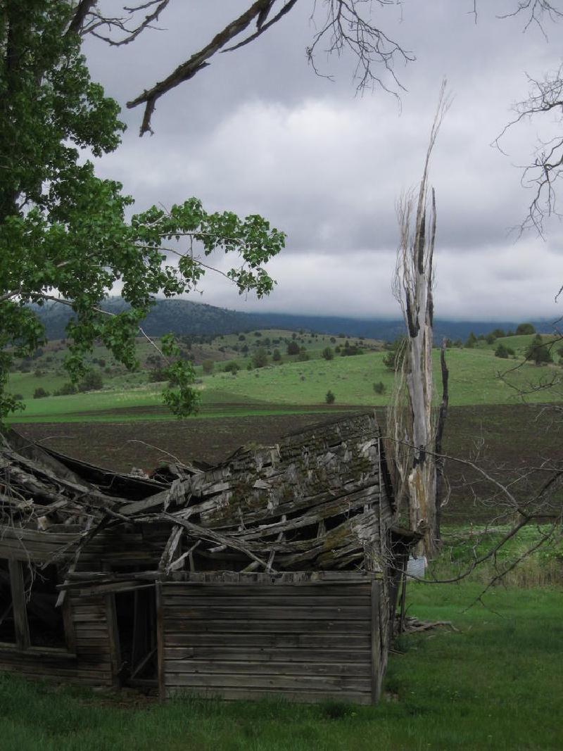gallery/central_oregon_186.jpg