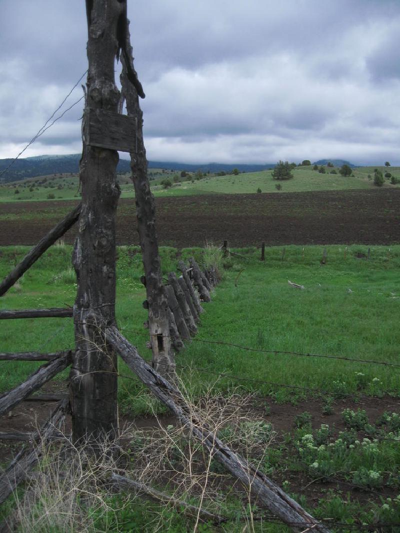 gallery/central_oregon_197.jpg