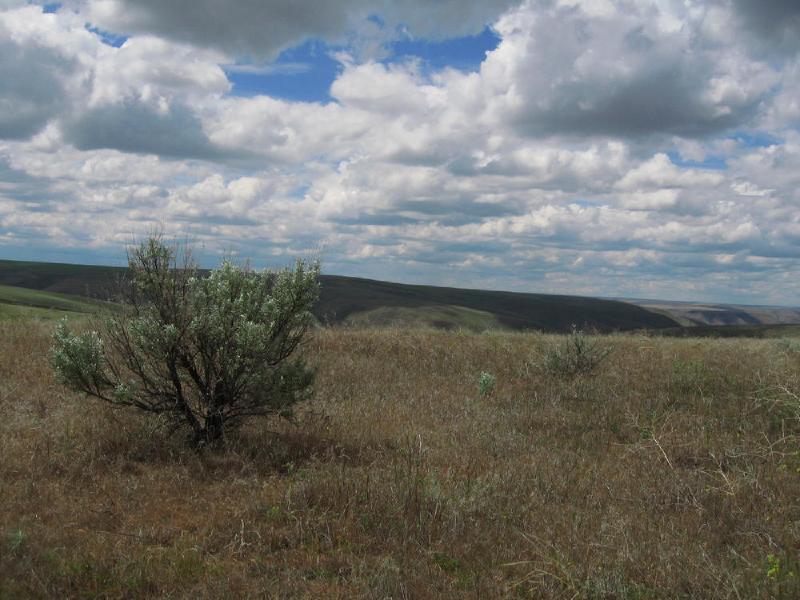 gallery/central_oregon_207.jpg
