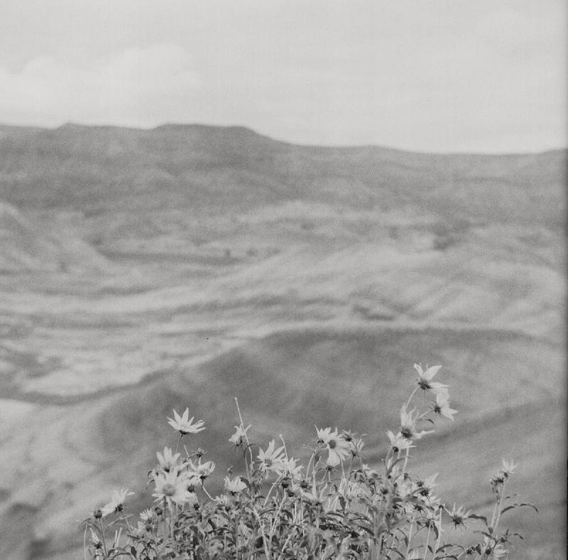 gallery/painted_hills_bw_05.jpg