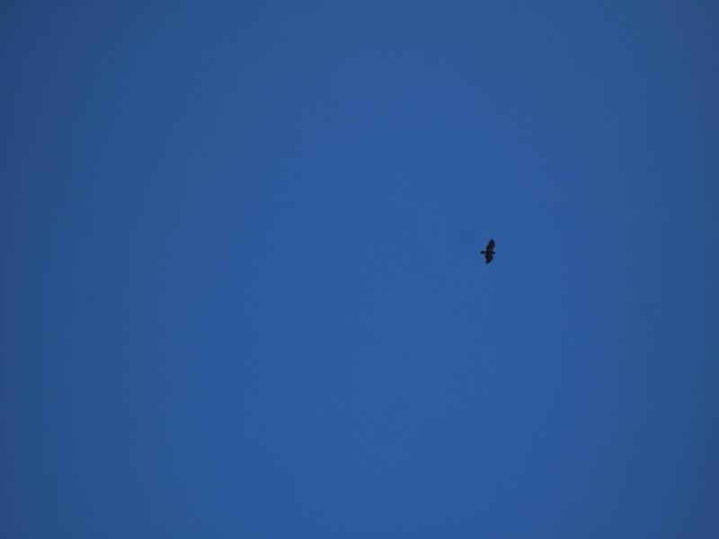 gallery/craterLake_017.jpg