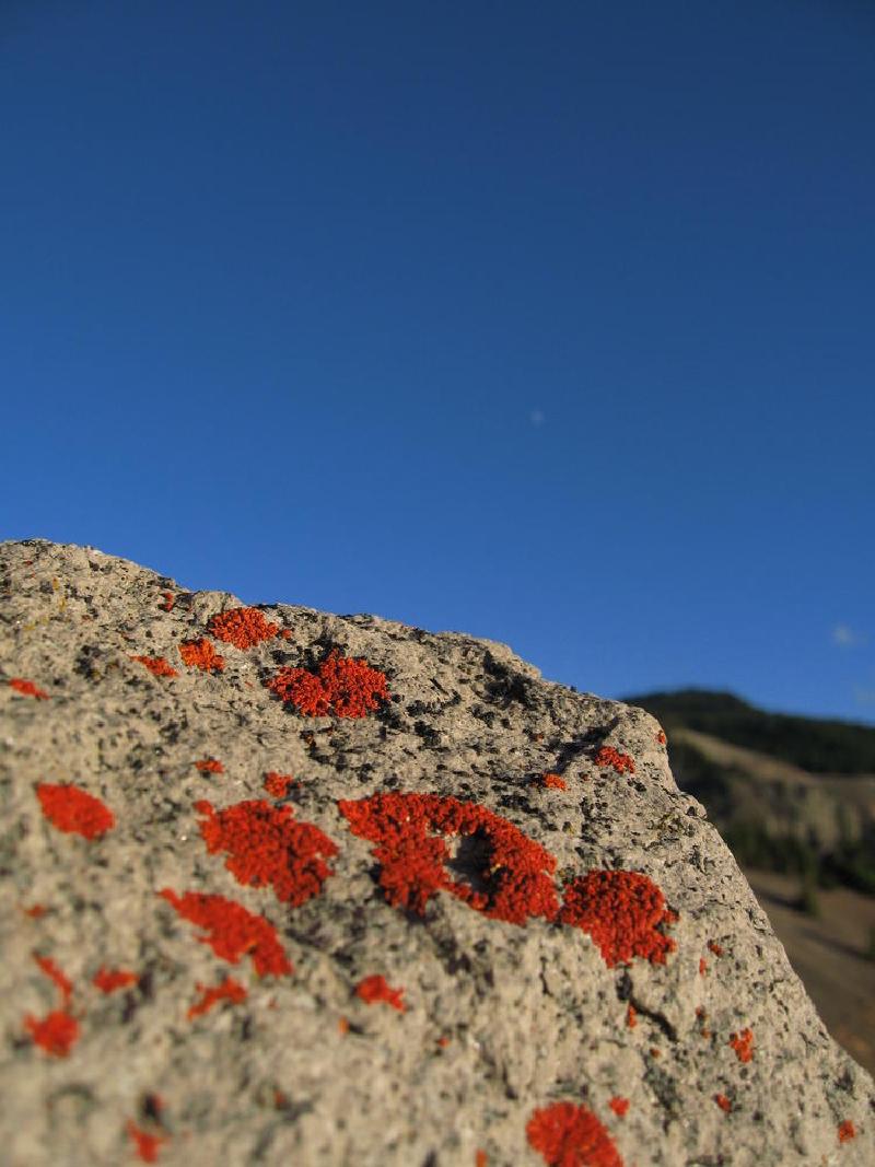 gallery/craterLake_042.jpg
