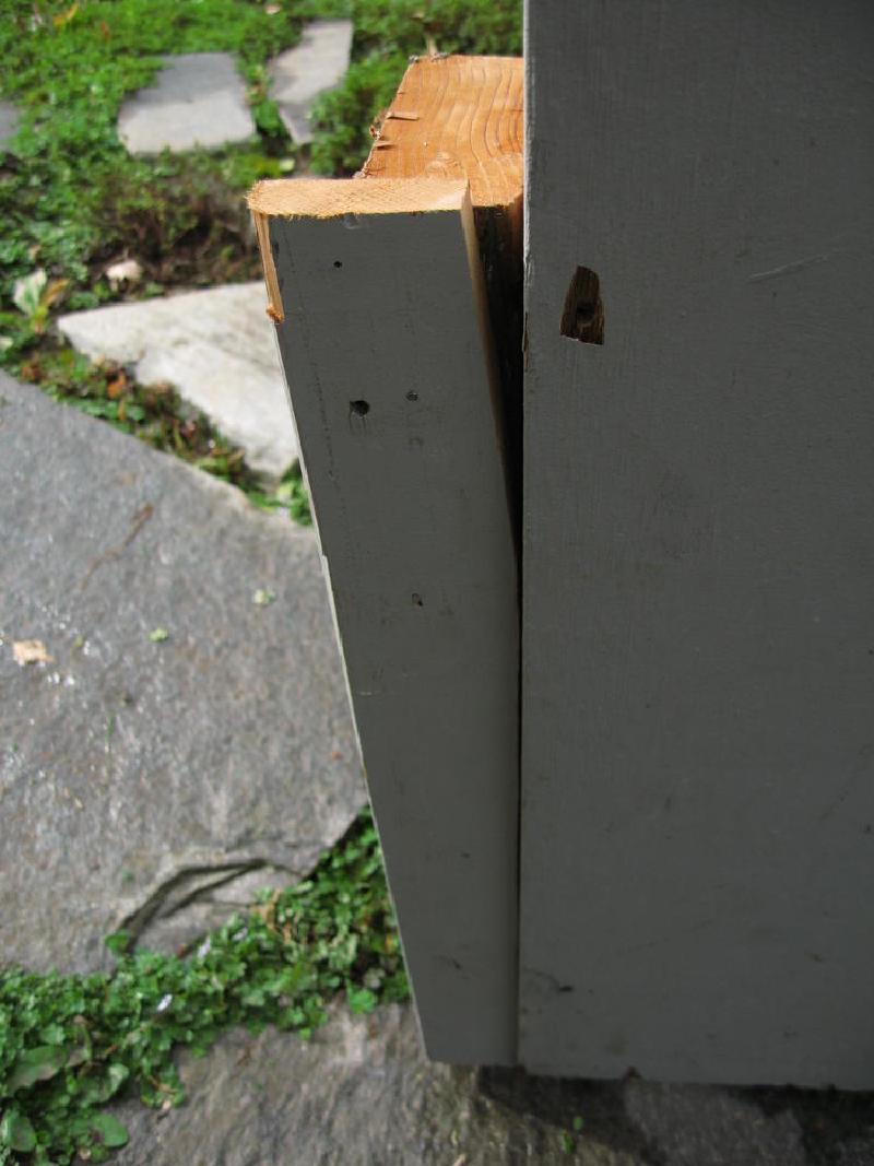 gallery/dogDoor_8.jpg