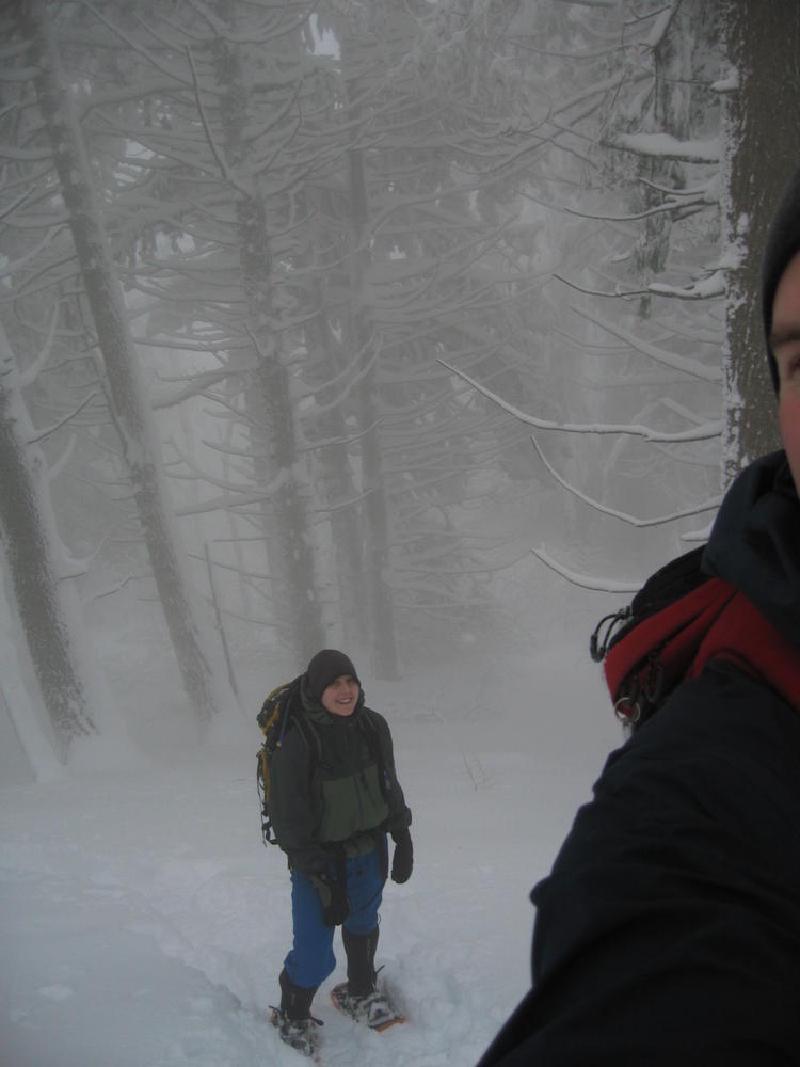 gallery/dog_mountain_017.jpg