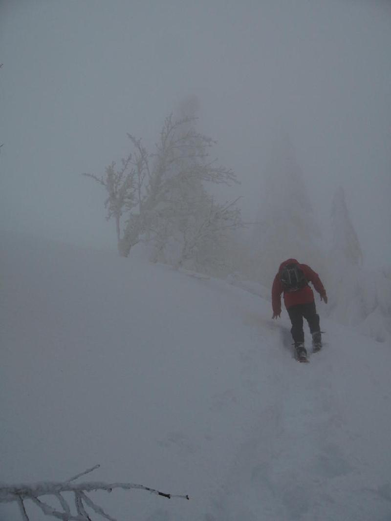 gallery/dog_mountain_021.jpg