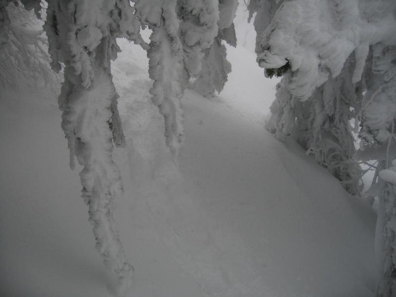gallery/dog_mountain_024.jpg