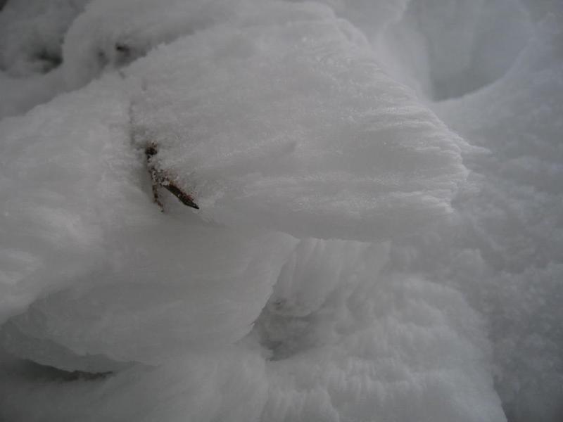 gallery/dog_mountain_026.jpg