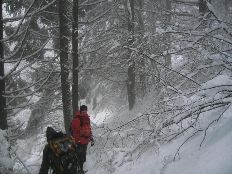 gallery/dog_mountain_028.jpg