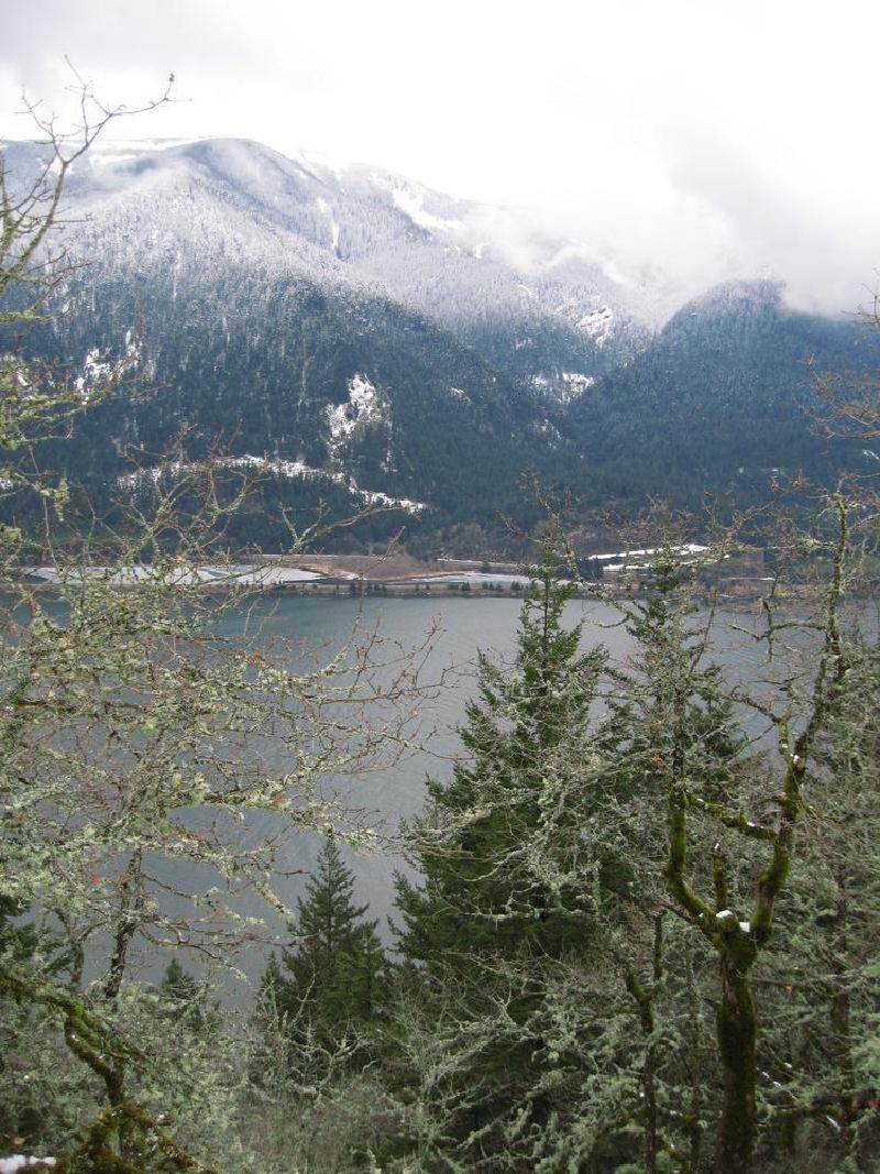 gallery/dog_mountain_033.jpg