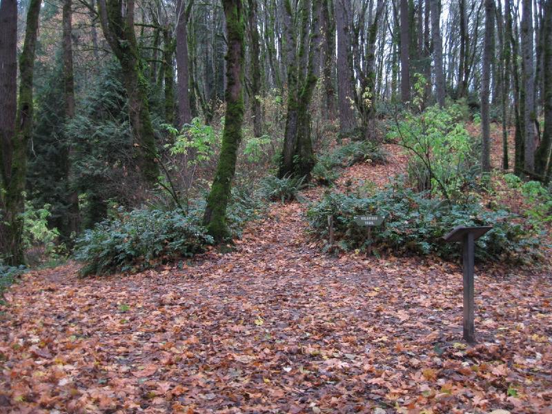 gallery/forestParkNov_02.jpg