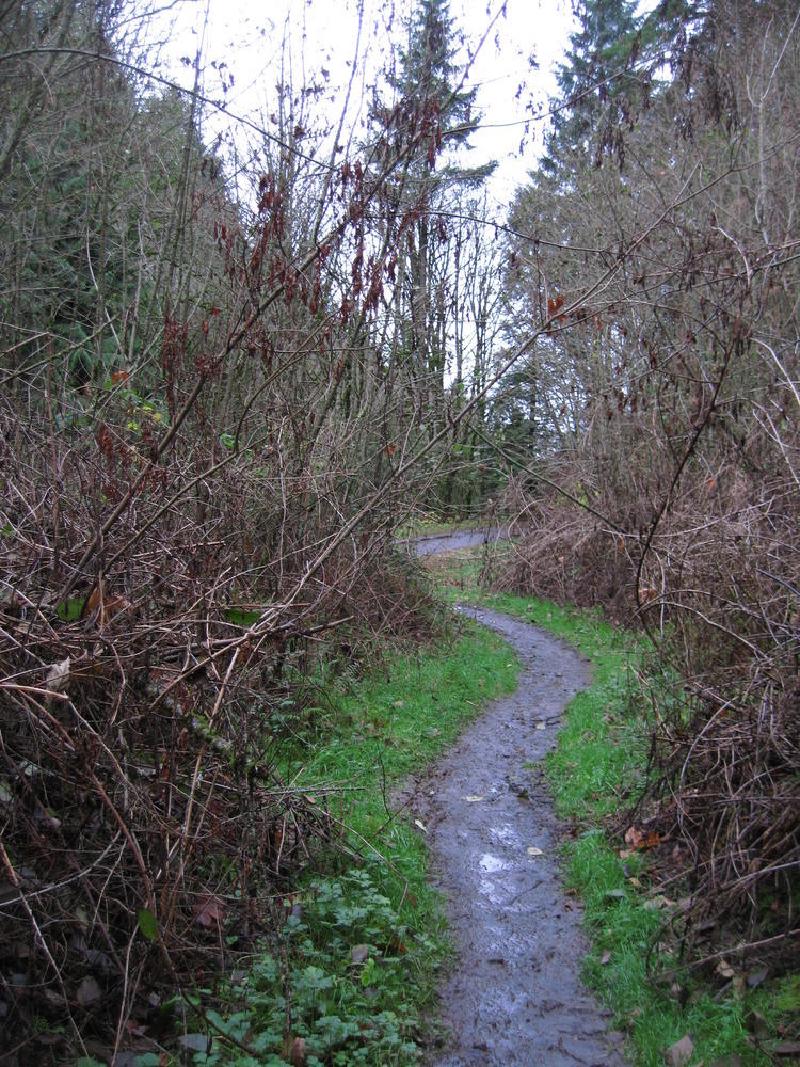 gallery/forestParkNov_04.jpg