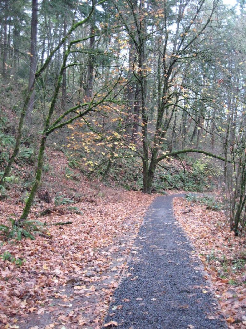 gallery/forestParkNov_15.jpg