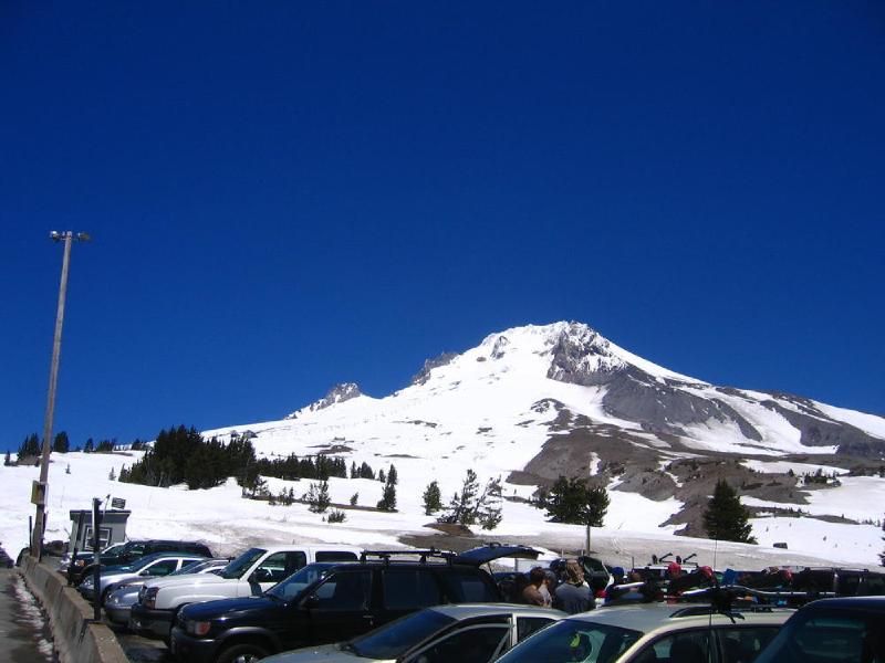 gallery/timberline_05.jpg