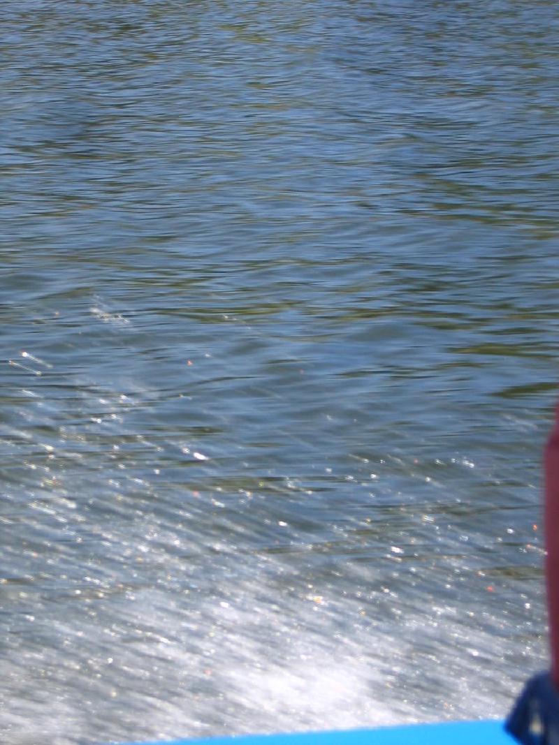 gallery/jetBoat_054.jpg