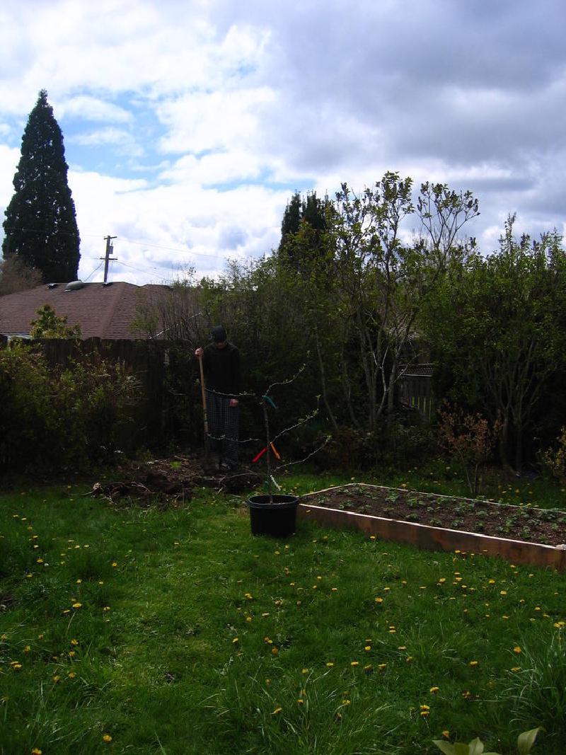 gallery/yard_01.jpg