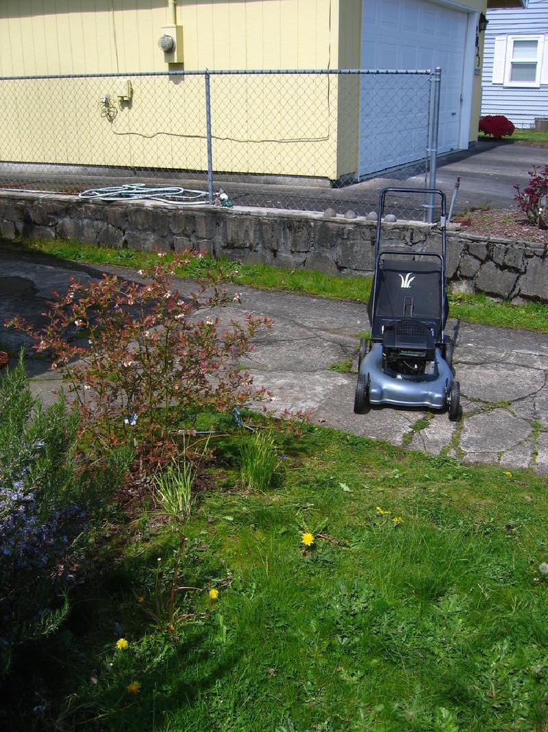 gallery/yard_09.jpg