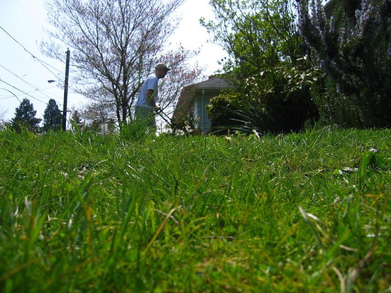 gallery/yard_11.jpg