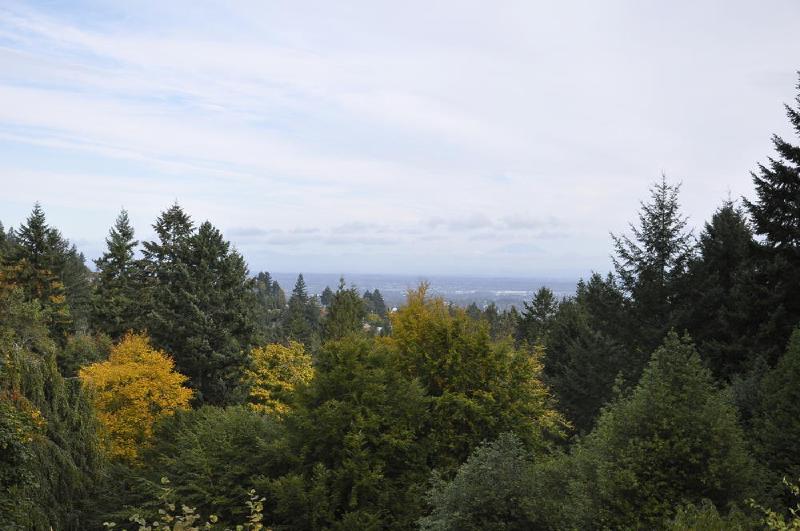gallery/macleayPark_08.jpg