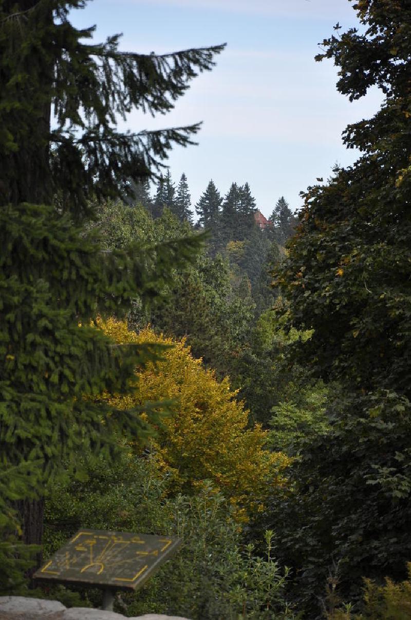 gallery/macleayPark_12.jpg