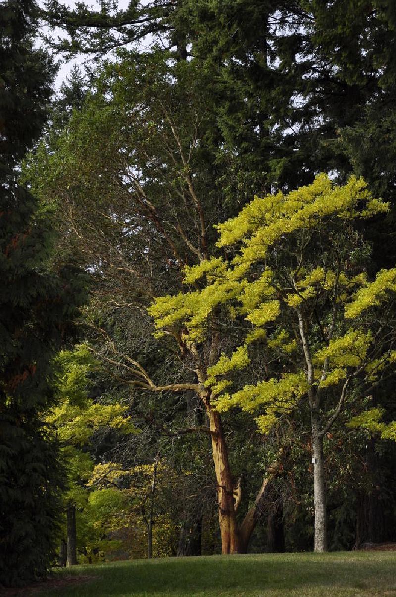 gallery/macleayPark_13.jpg