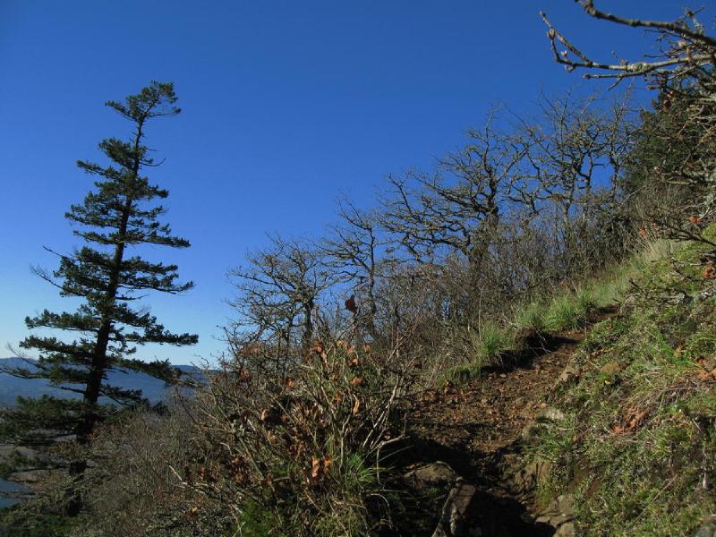 gallery/munraPoint_12.jpg