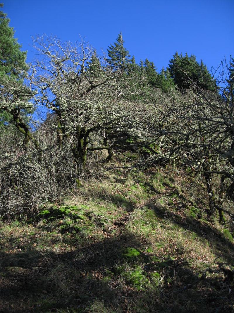gallery/munraPoint_18.jpg