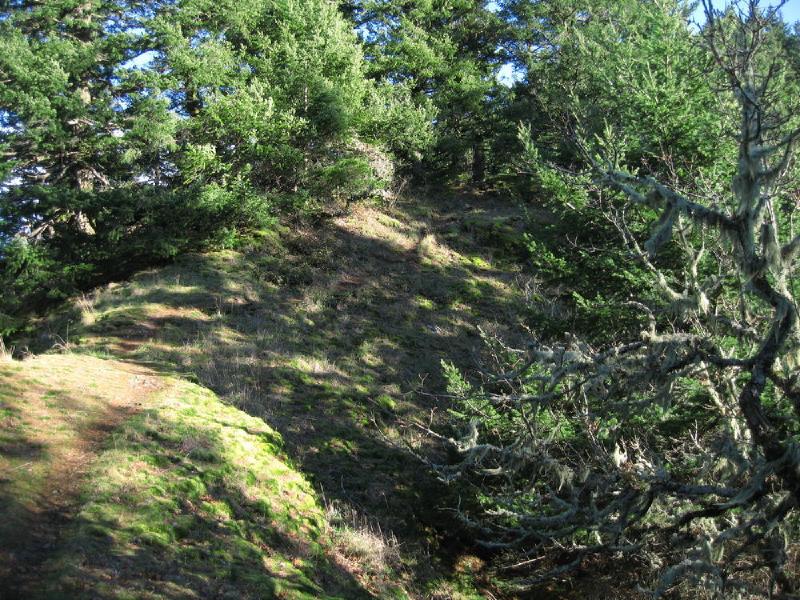 gallery/munraPoint_20.jpg